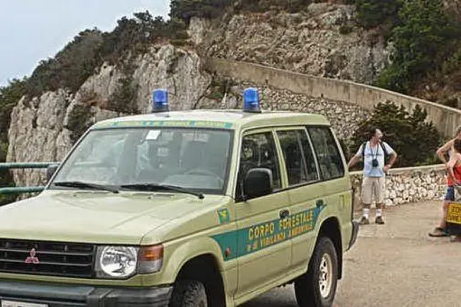 Un'auto della Forestale