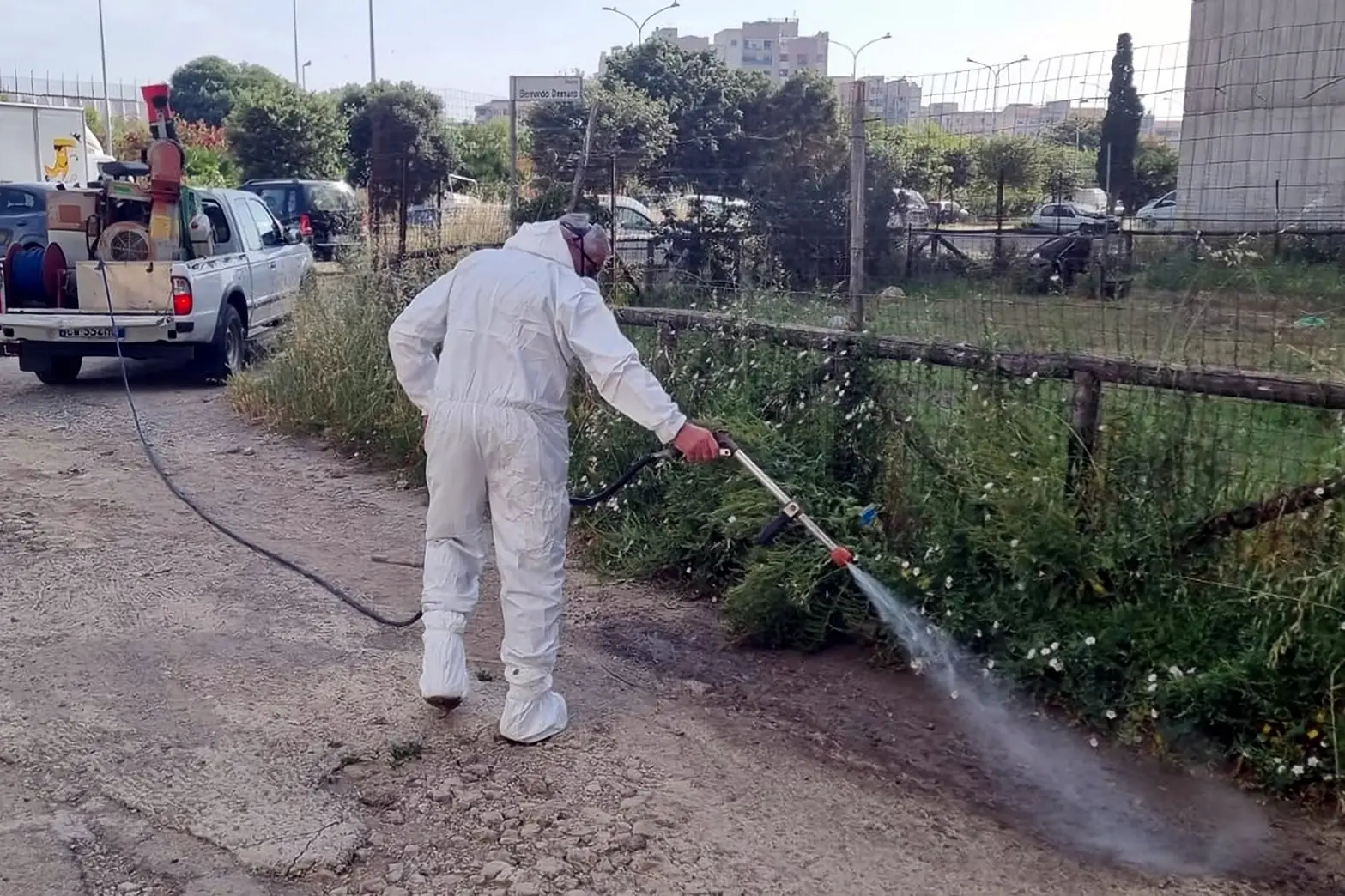 Disinfestazione blatte Cagliari