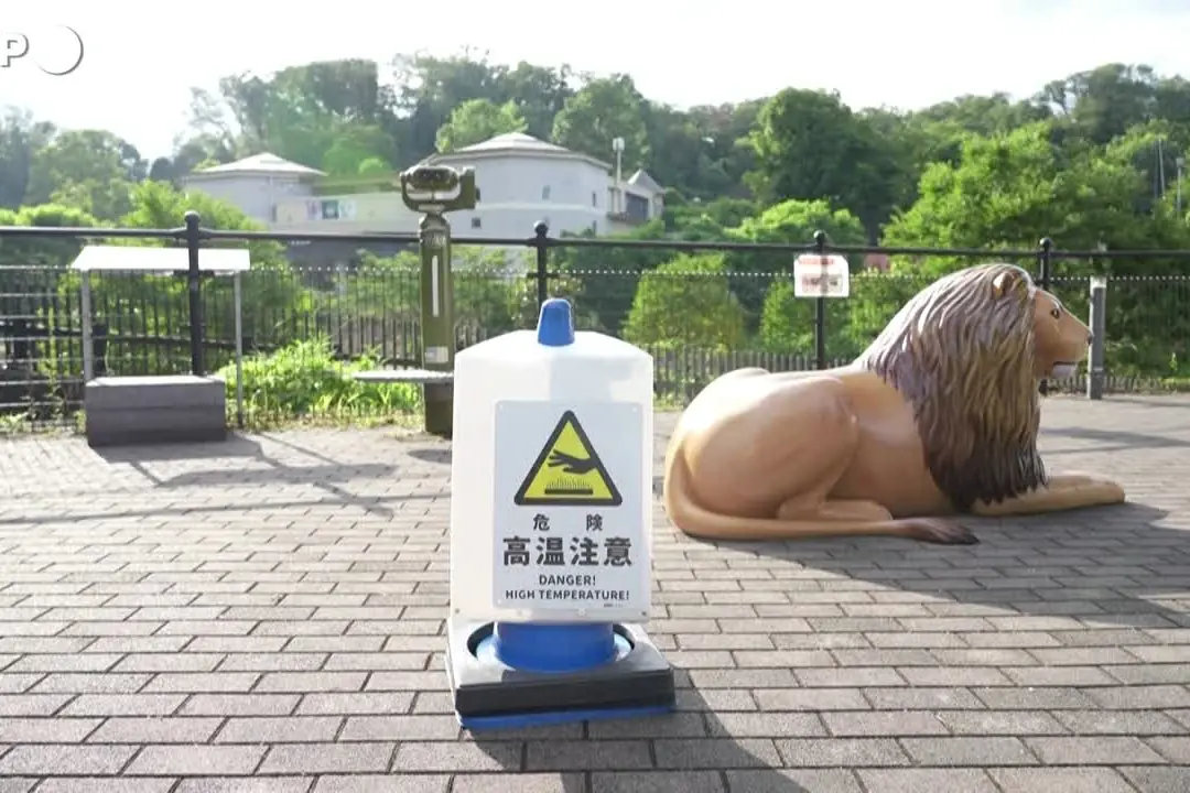 Caldo record a Tokyo, morti tre leoni dello zoo di Tama