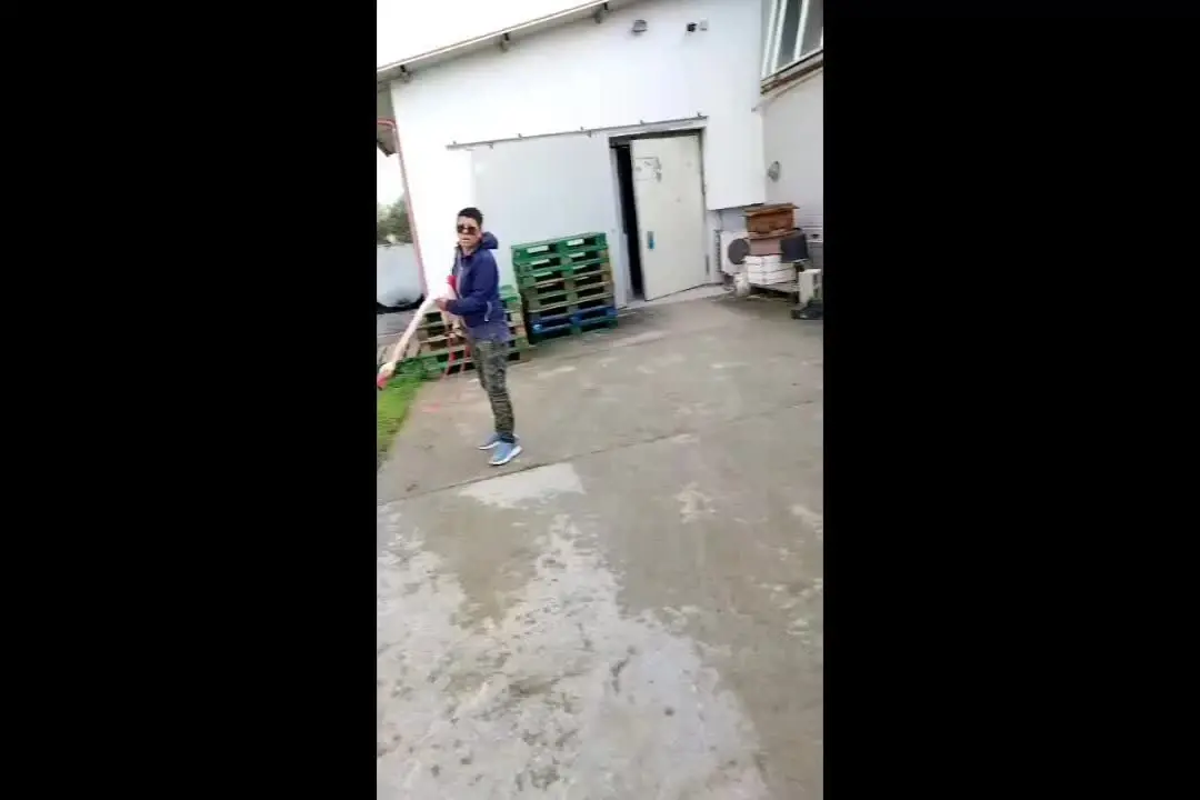 Giba, salvato un fenicottero impigliato in una lenza