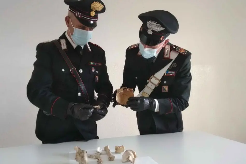 Le ossa (foto Carabinieri)