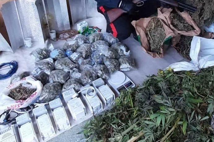 Nove chili di marijuana, piante e armi in casa: arrestato un 24enne a Selegas