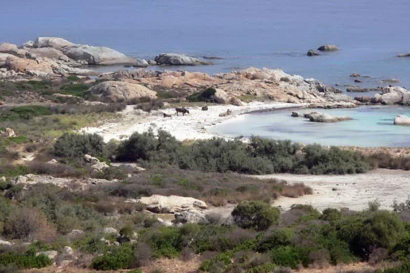 Parco dell'Asinara, per il 2021 c'è un &quot;tesoretto&quot; da 10 milioni