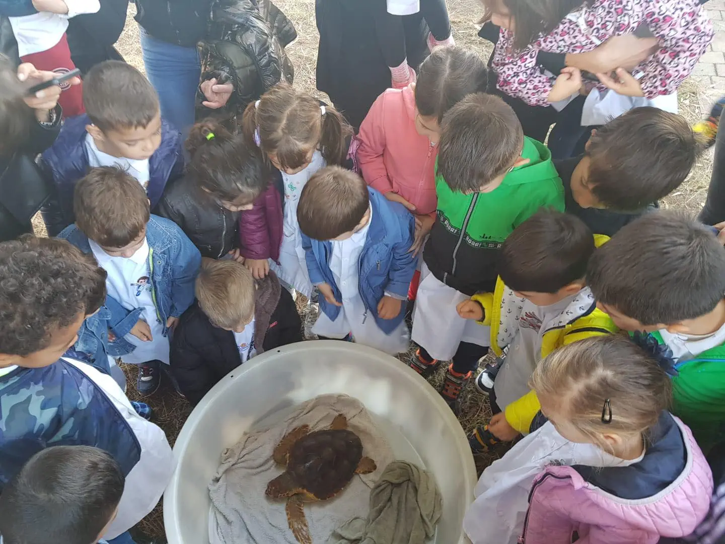 I bambini osservano la tartaruga (foto Melis)
