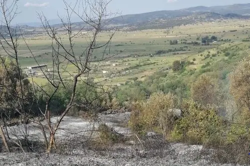 Il bosco di Bonorva bruciato