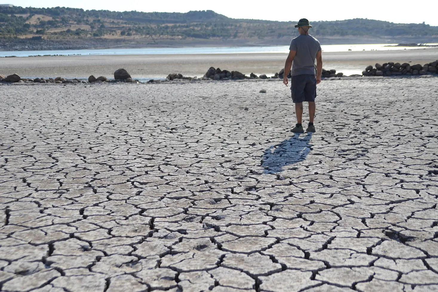 Siccità nel Sassarese (foto Gloria Calvi)