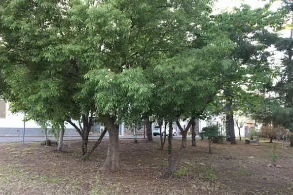 Un'area verde a Ghilarza (Foto A.Orbana)