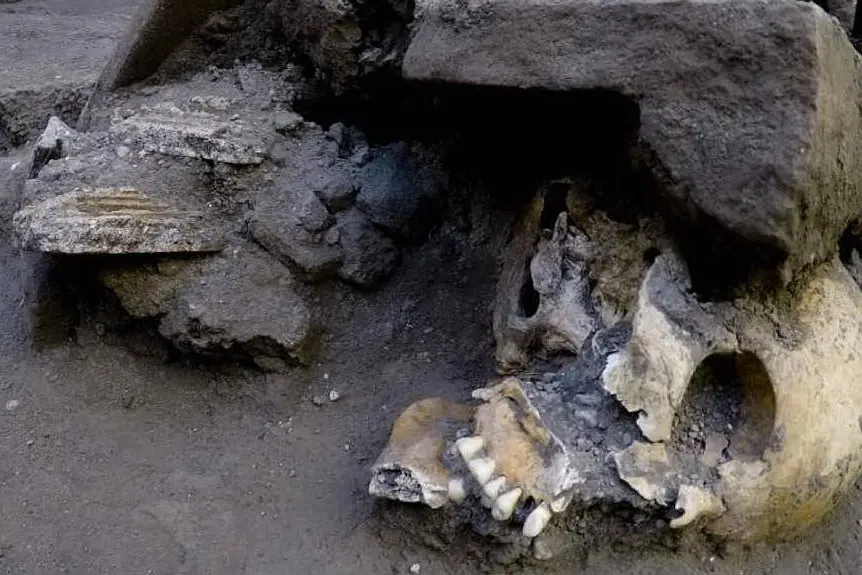 Un'immagine dagli scavi in corso (Ansa)
