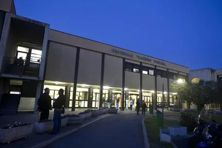 L'ospedale Sandro Pertini a Roma (Ansa)