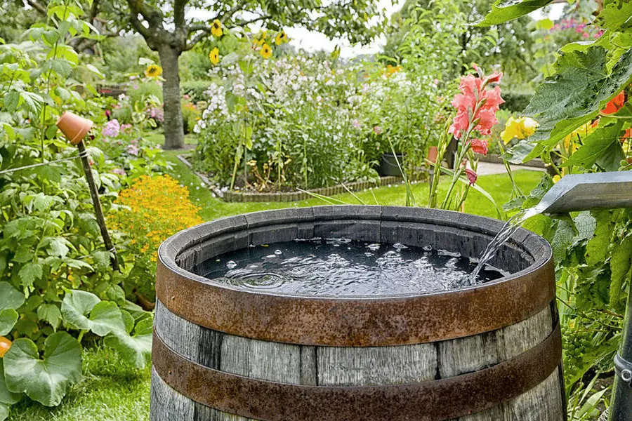 Acqua piovana in una foto simbolo (Ansa)