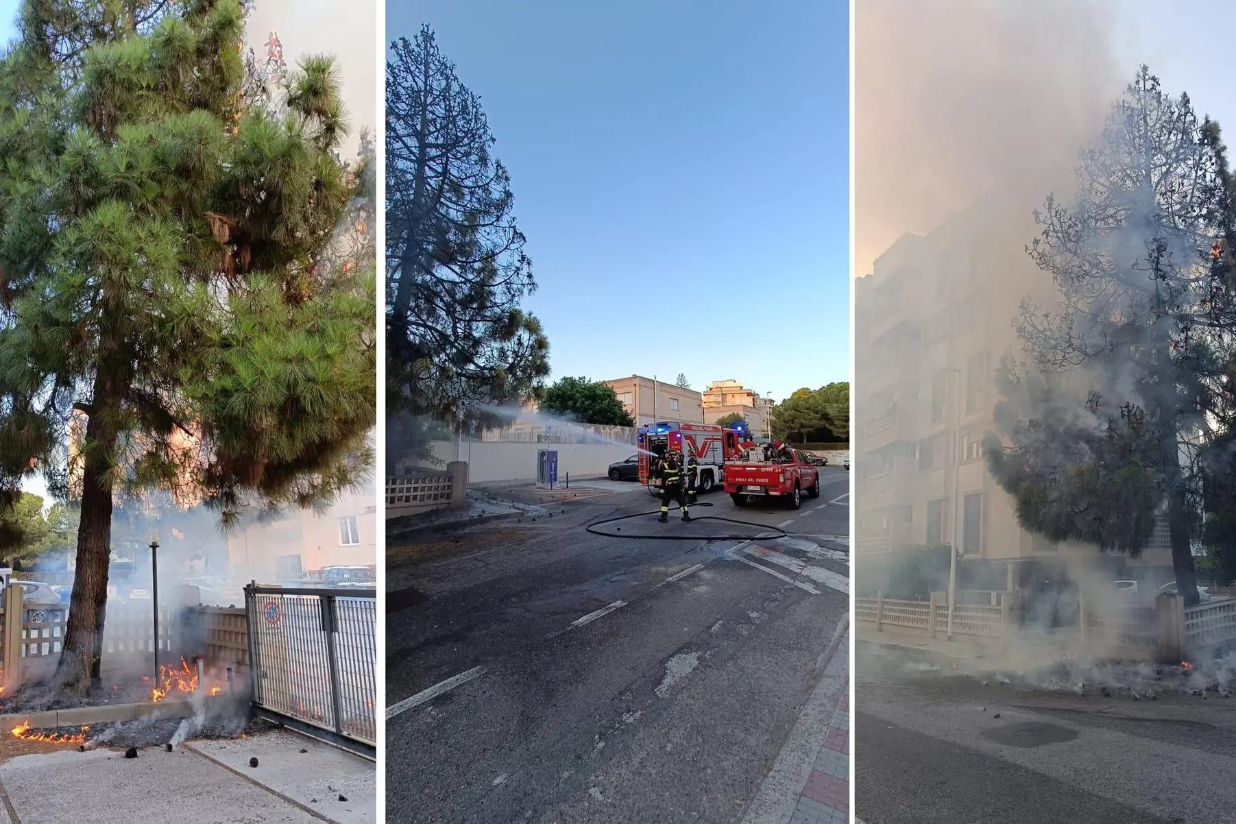L'albero incendiato in via Ravenna. (Foto: Almiento)