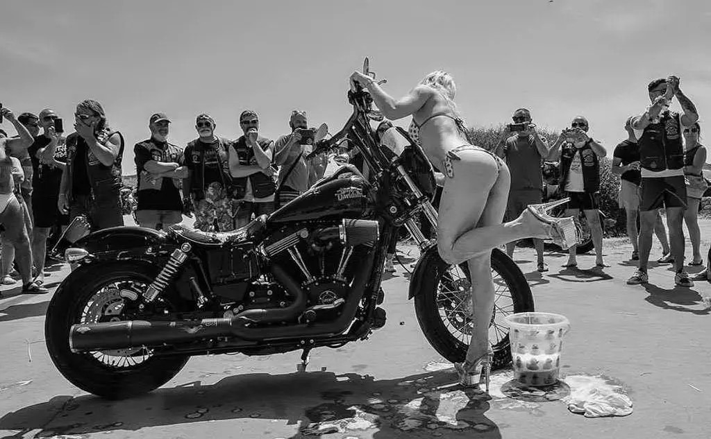 Sorpresa al raduno Harley Davidson nell'Oristanese (le foto sono di Giuseppe Tamponi)