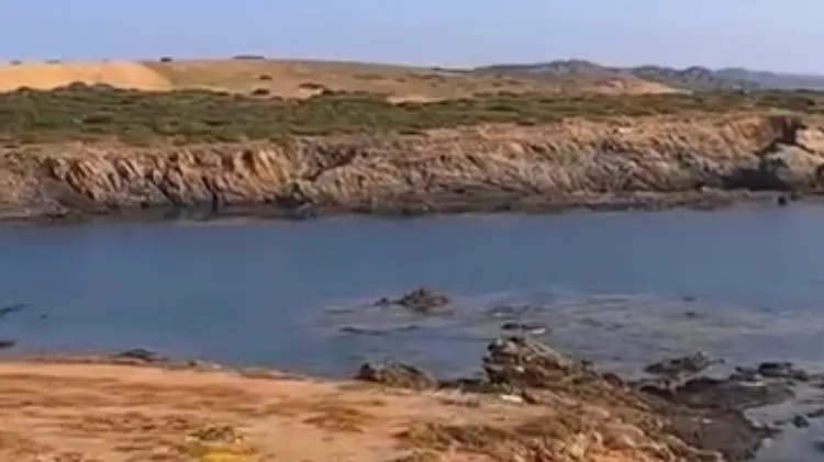 https://immagini.unionesarda.it/version/c:MDcwNGYzY2UtNmMzMS00:NmNkNTQ3MTktMmI1Ni00/image.webp?f=16:9