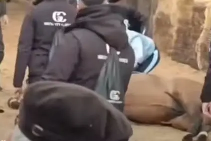 L'incidente prima della Sartiglia (frame da video)