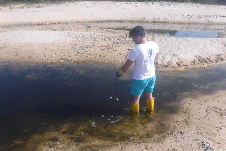 Legambiente in Sardegna: ecco i 7 luoghi con l'acqua più inquinata