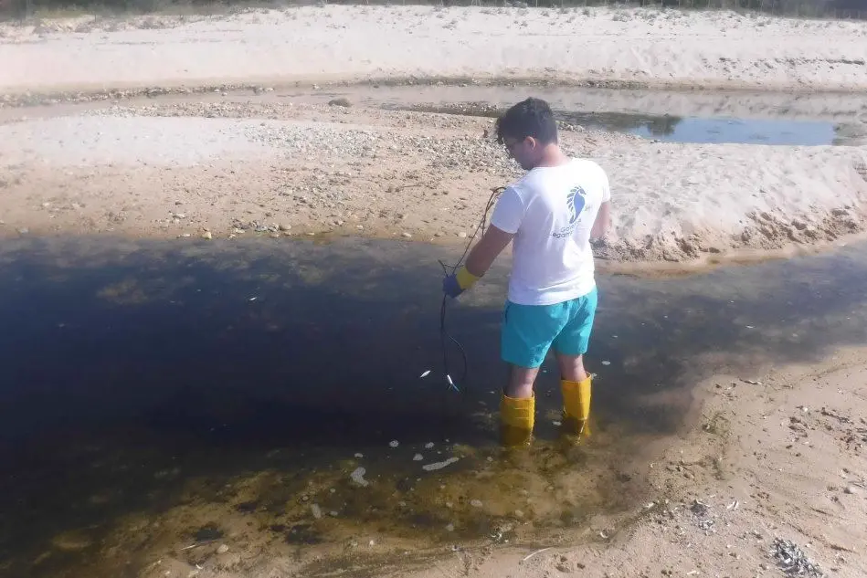 Le acque più inquinate della Sardegna secondo Legambiente (nella foto la foce del Rio Pula)