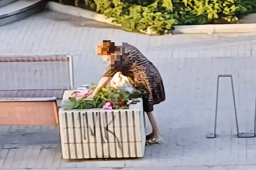 Una delle nonnine fotografata mentre ruba i fiori da un’aiuola pubblica in via Brigata Sassari