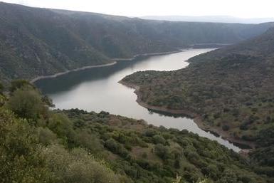 Regione Sardegna: “Volumi idrici garantiti per l'agricoltura”