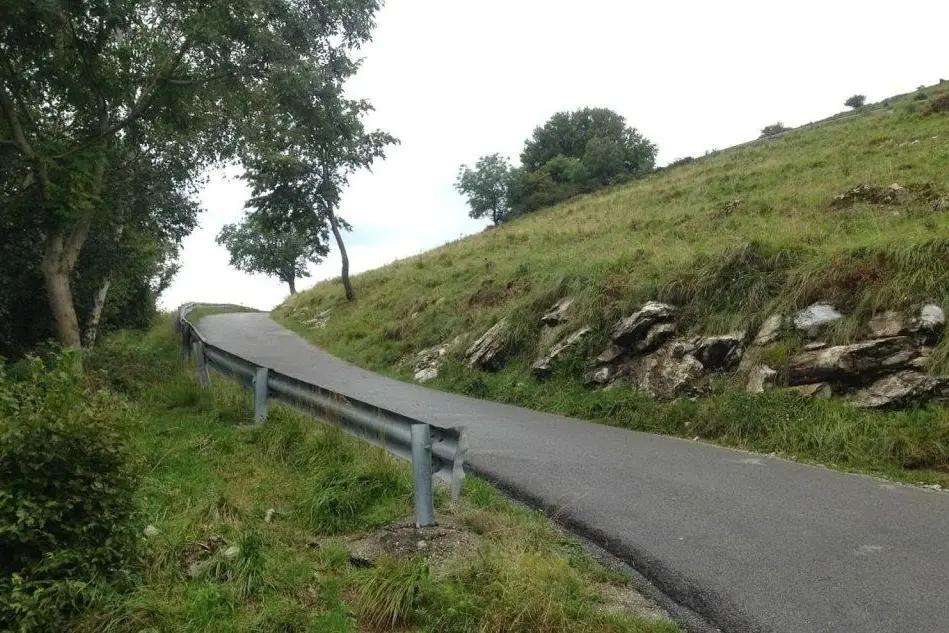 Il bosco di Eupilio (Como)