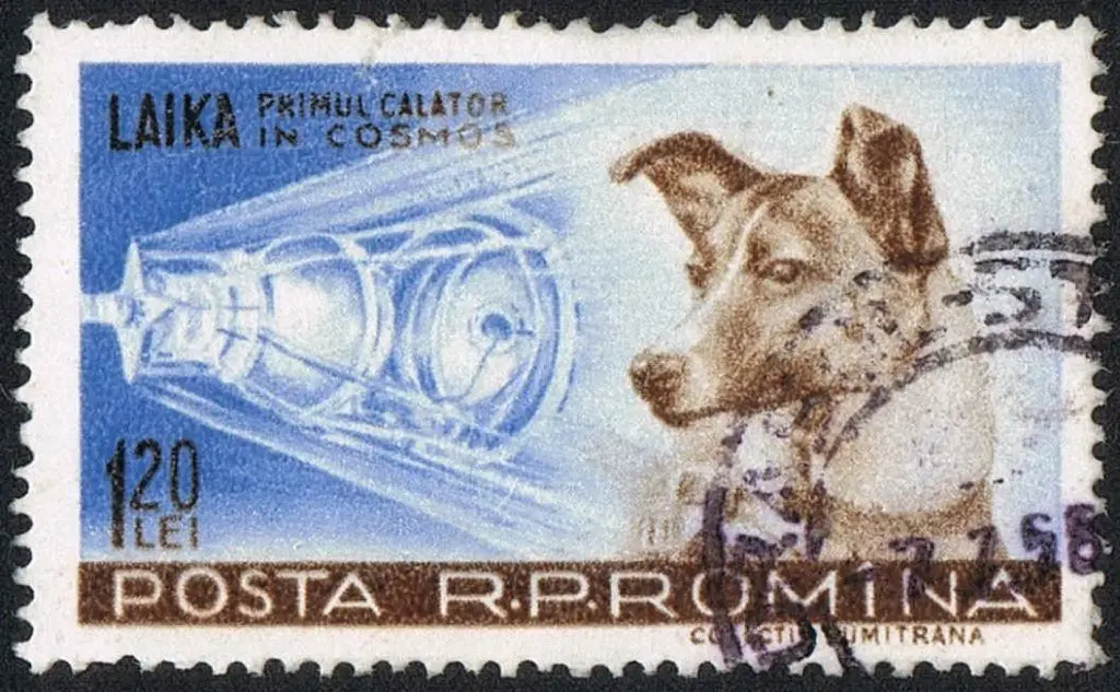 Un francobollo dedicato a Laika