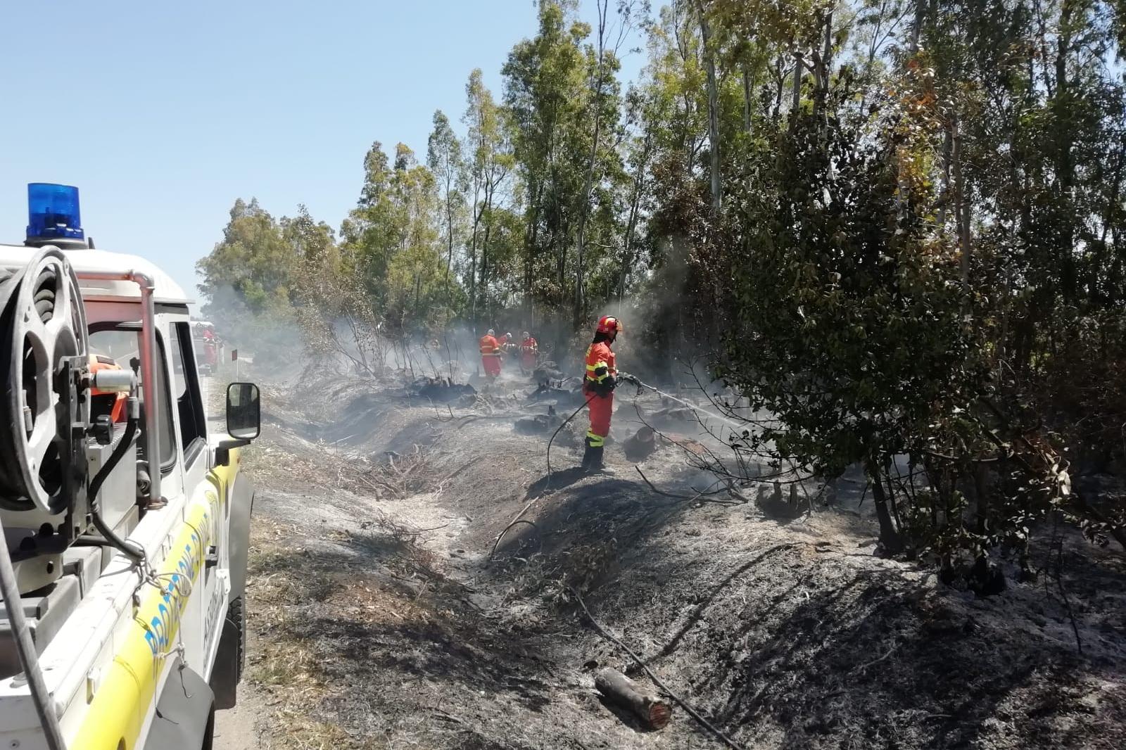 Incendio a bordo strada a Giba, intervengono corpo forestale e protezione civile