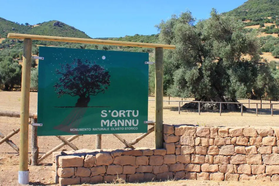 La località S'Ortu Mannu (foto Farris)