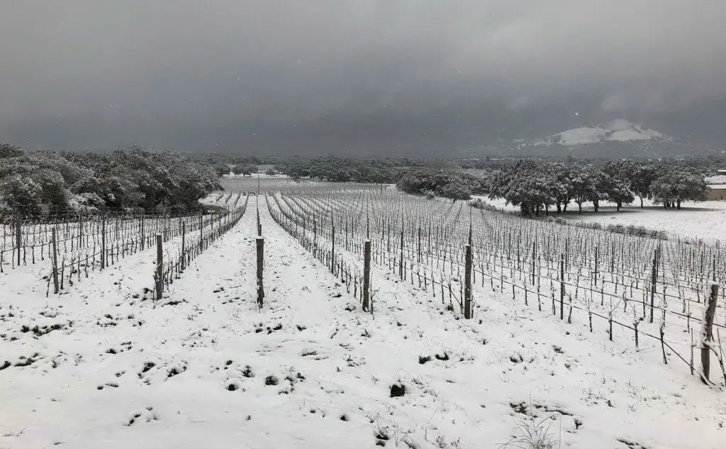Nevica in Gallura (nella foto - del nostro lettore Antonio Sotgia - le campagne di Olbia)