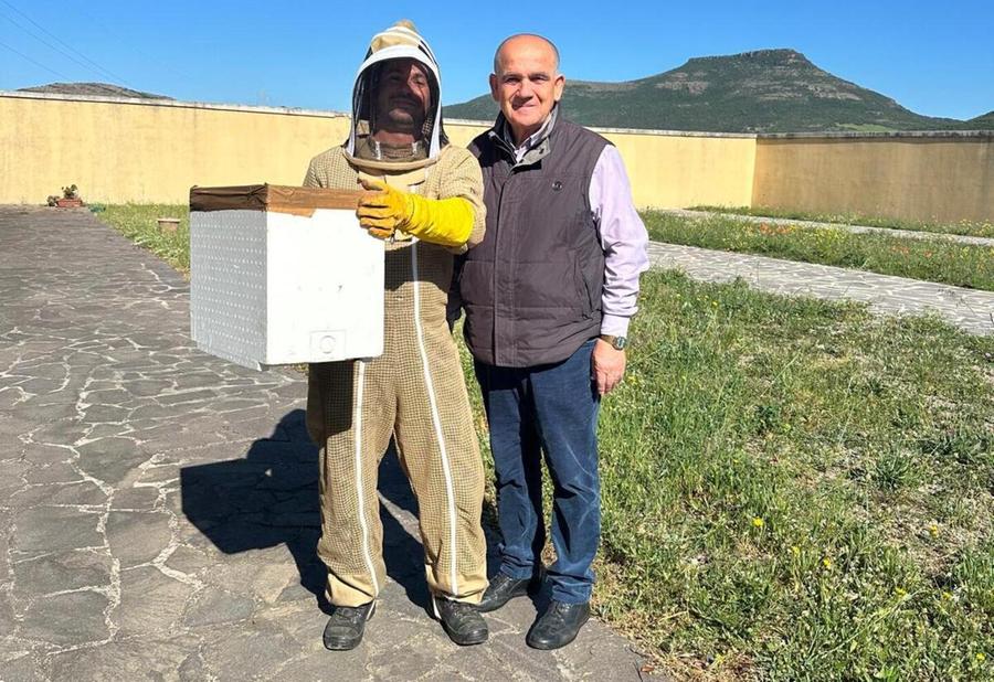 Api recuperate, il cimitero può riaprire