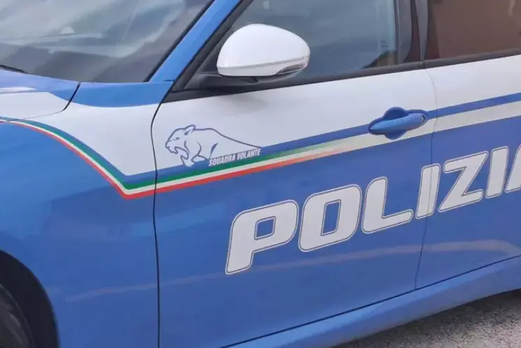 Polizia (Ansa)