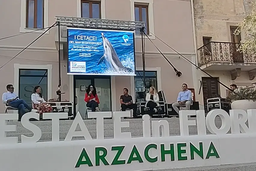 Arzachena, convegno su erosione costiera, ambiente e turismo (foto Ronchi)