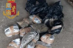 La droga sequestrata (Foto Questura)