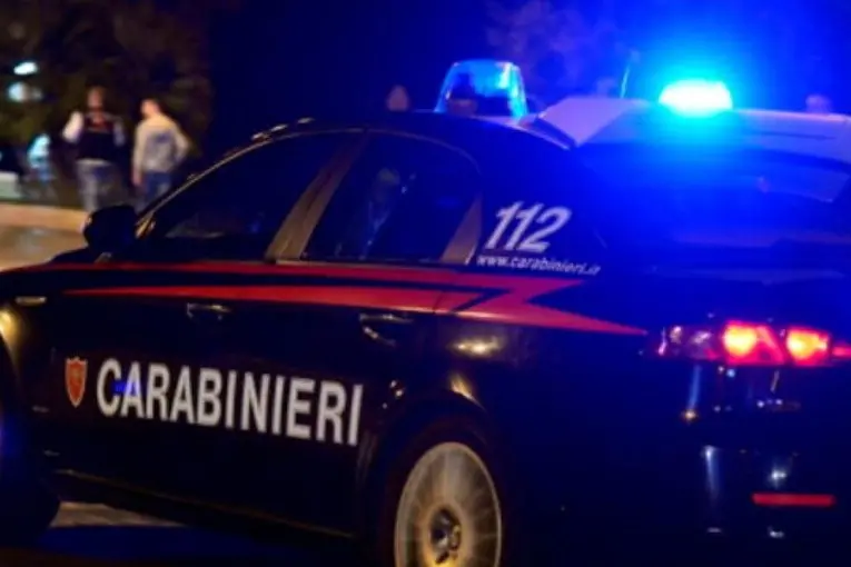 Un intervento dei Carabinieri (foto Ansa)