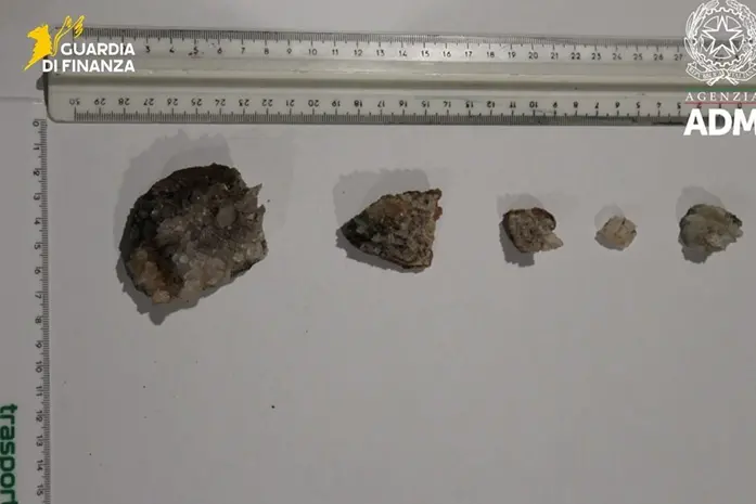 (Фото предоставлено любезно)