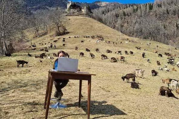 Fiammetta Melis, la bimba che segue le lezioni tra le vette e i pascoli del Trentino