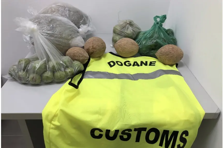 Alcuni prodotti sequestrati (foto concessa)