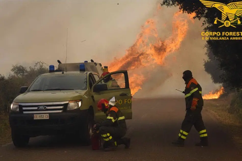 Uno degli incendi di questi giorni (Foto Magari-Corpo Forestale)
