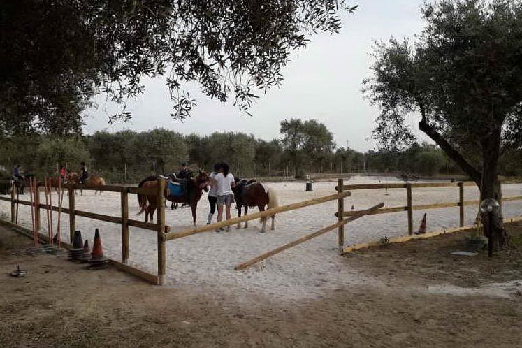 Porto Torres: progetto Agorà, studenti a cavallo contro il bullismo