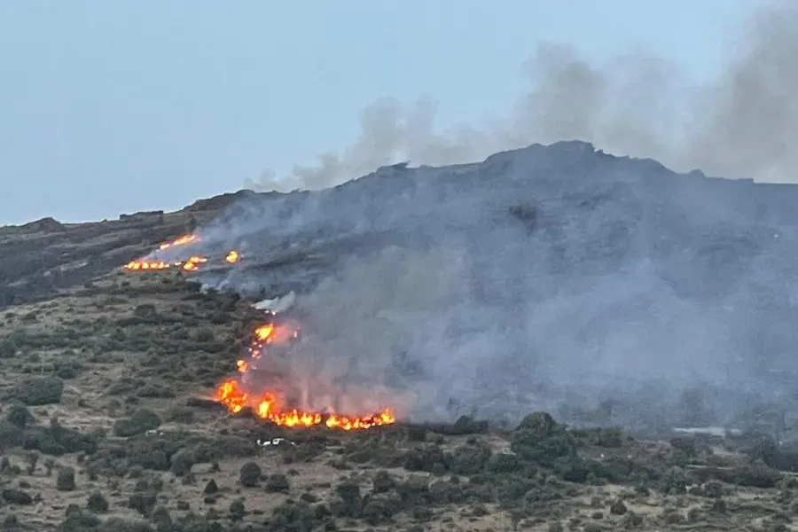Le fiamme a Villagrande (Foto Deidda)