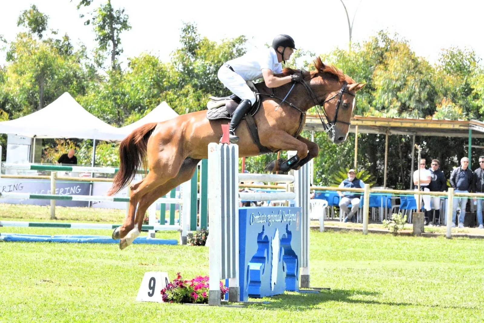 Luigi Angius su Rarità ai Campionati regionali di salto ostacoli (foto Corbinzolu)