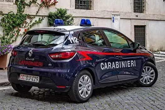 Sul caso indagano i carabinieri (foto Pixabay)