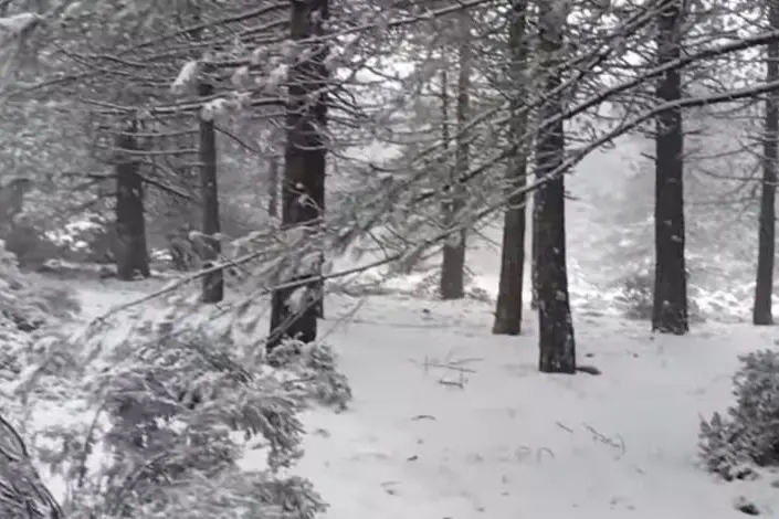 Neve sul Limbara (foto Busia)