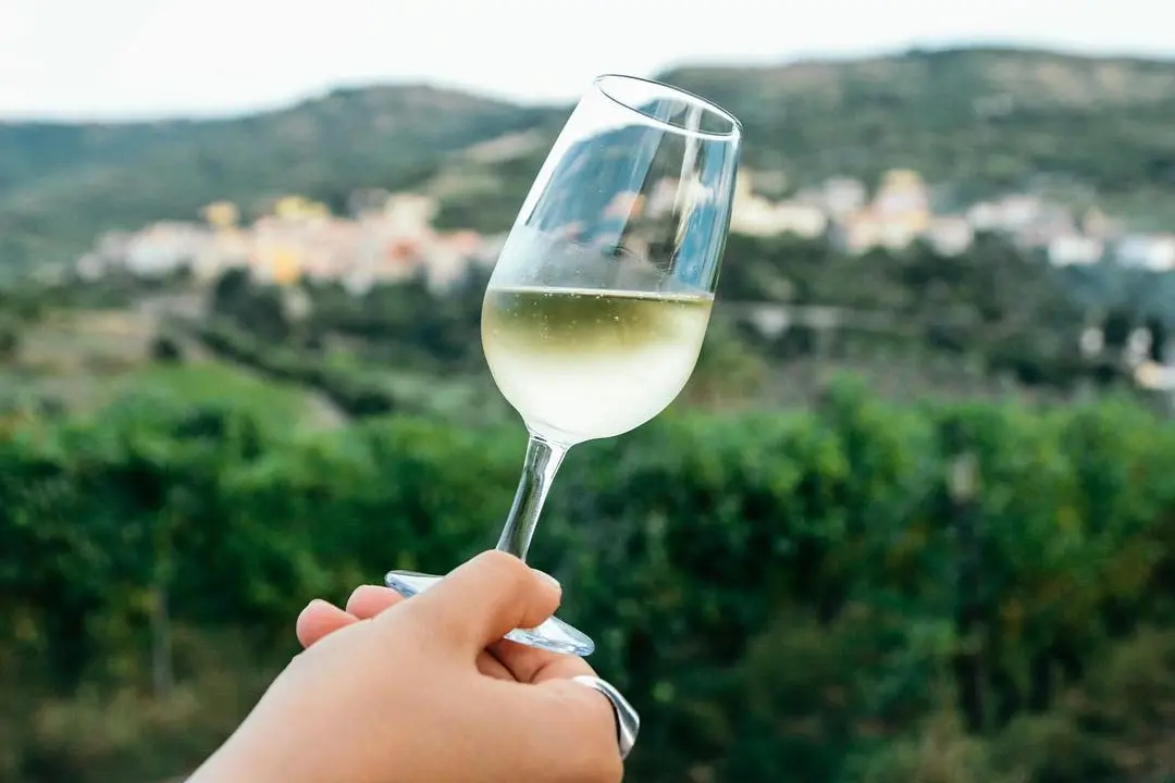 Un calice di spumante Malvasia (Foto simbolo)