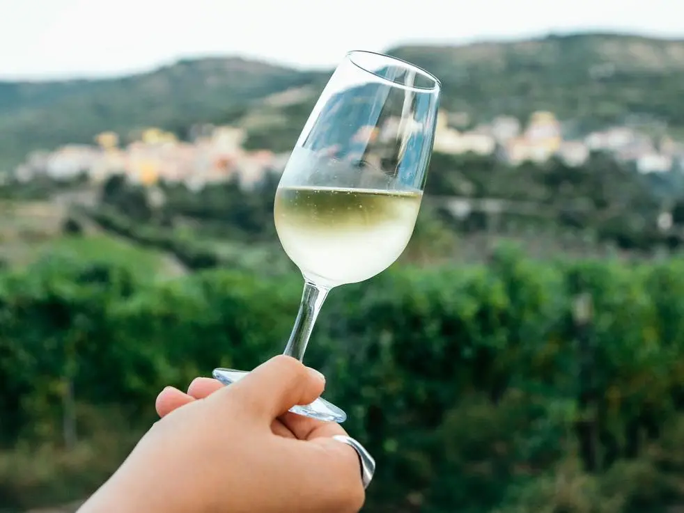 Un calice di spumante Malvasia (Foto simbolo)
