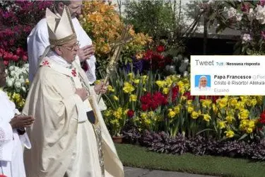 Papa Francesco e il tweet di oggi