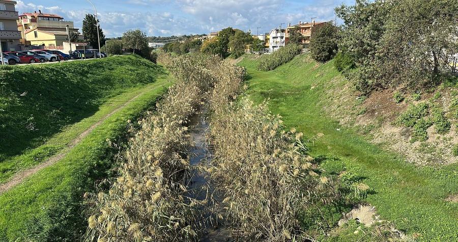 Pericolo inondazioni: «Il letto del Rio Matzeu è invaso dalle canne»