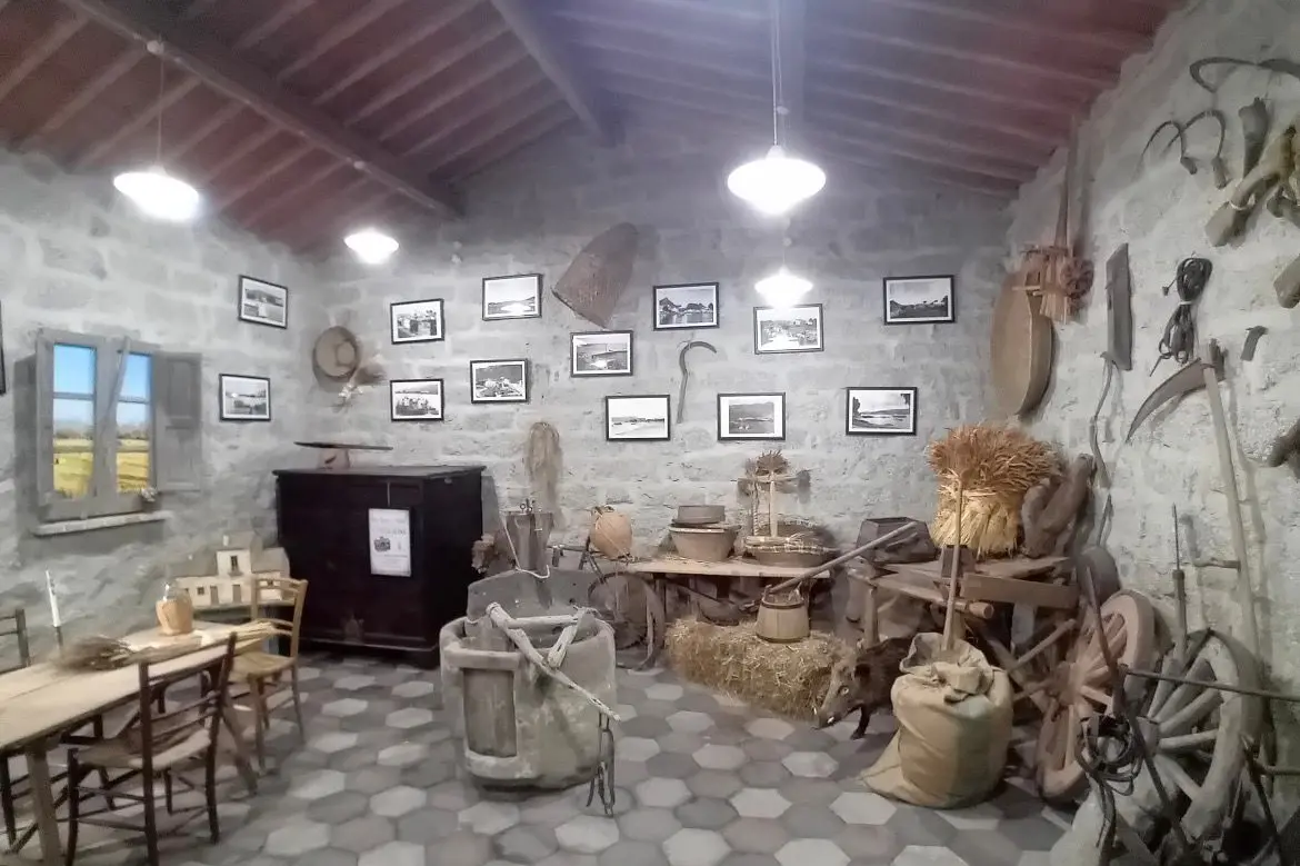 Arzachena, mostra su Cannigione al Museo del Pane