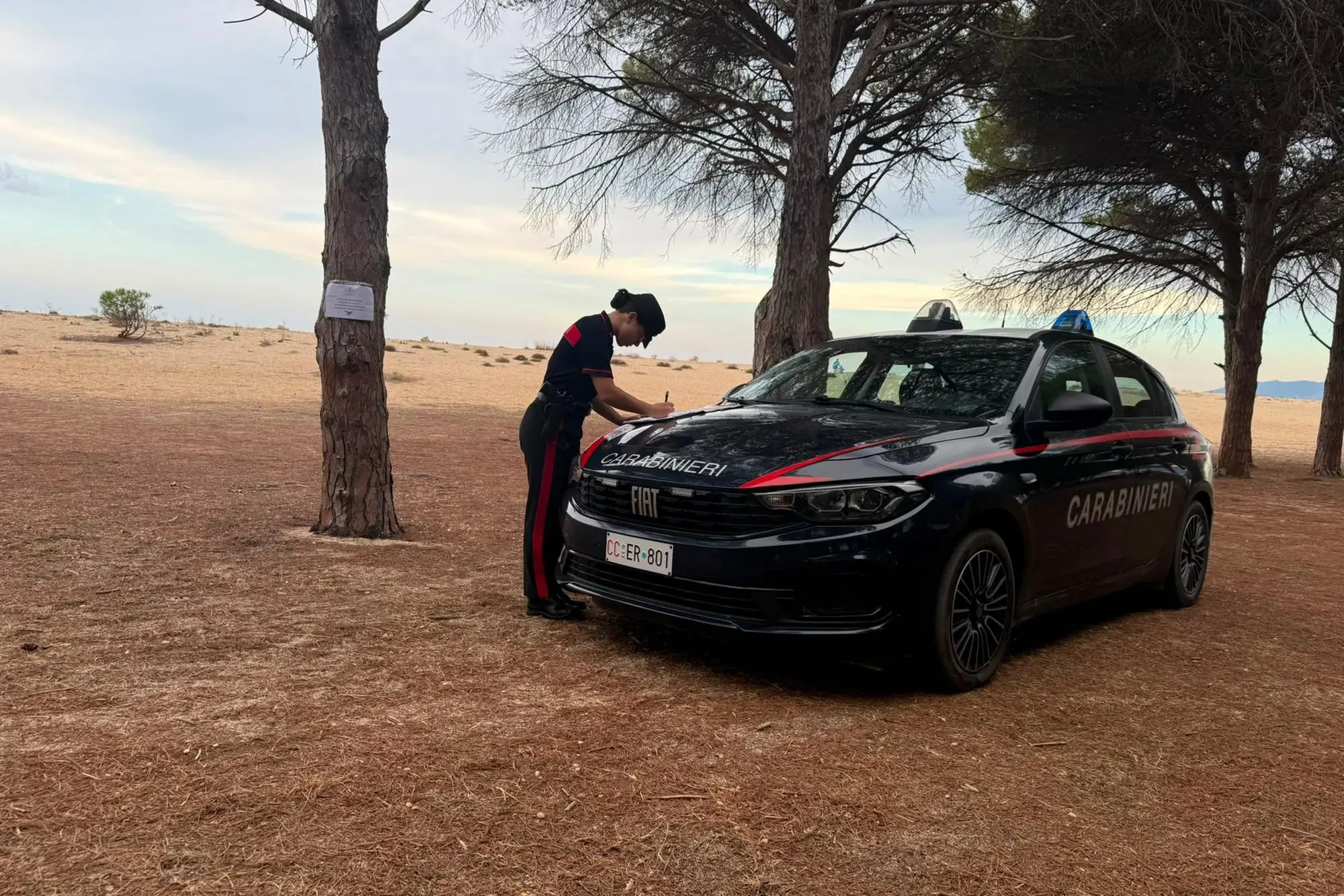 Carabinieri