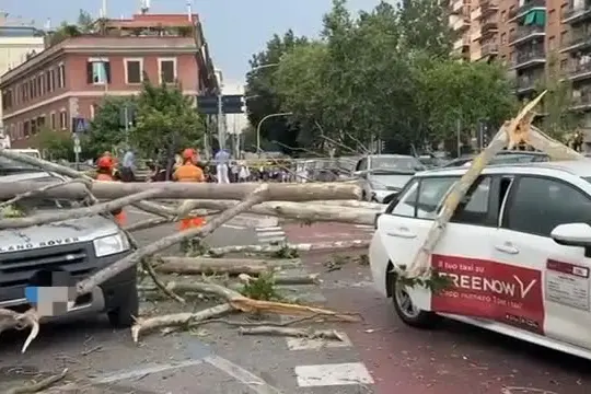 Maltempo a Roma, albero su taxi e auto parcheggiate a via Ostiense
