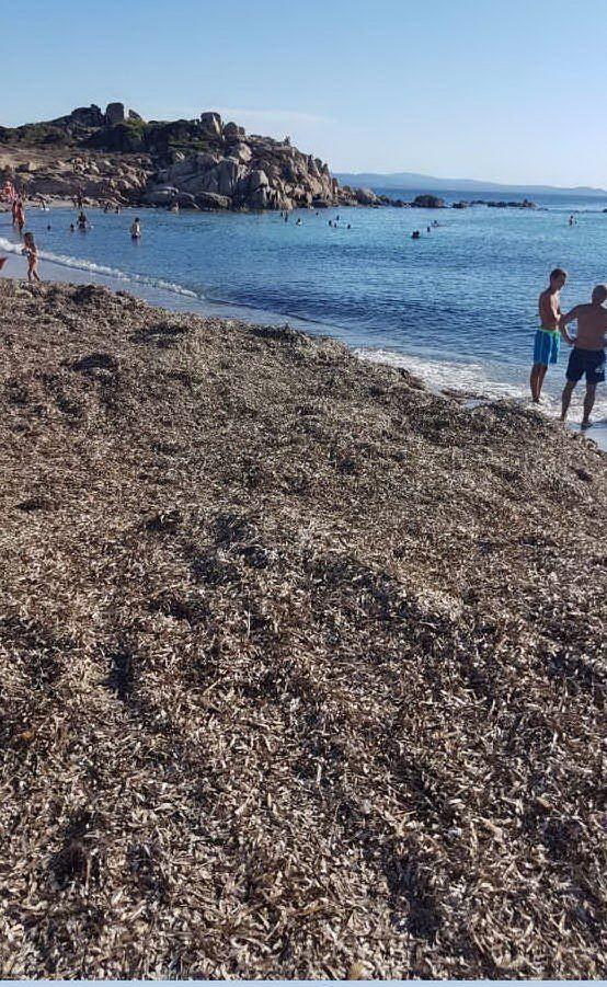 \"Questa è la situazione alla spiaggia di Baia Santa Reparata. Il Comune è latitante\", Antonia Antonietti