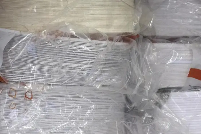 Piatti di plastica (foto Ansa)